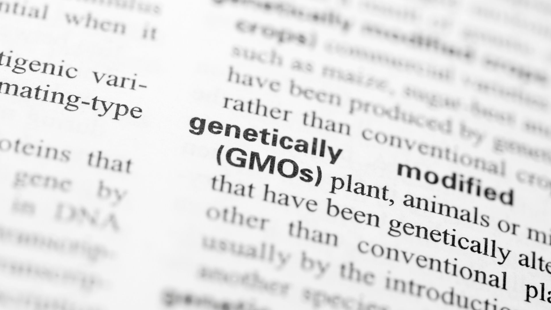 Non-GMO ve Glutensiz Üretim Neden Önemli?